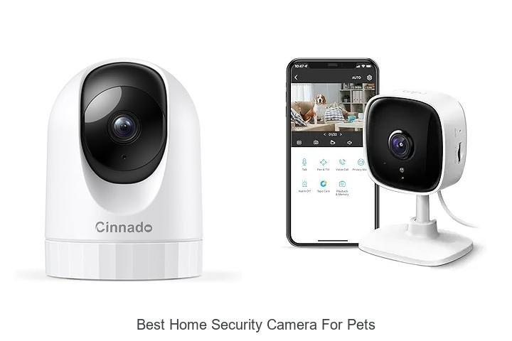 Top 15 Best Home Security Camera For Pets You Must See!