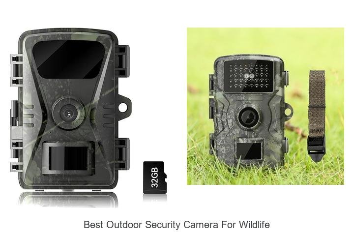 Top 15 Best Outdoor Security Camera For Wildlife Revealed!