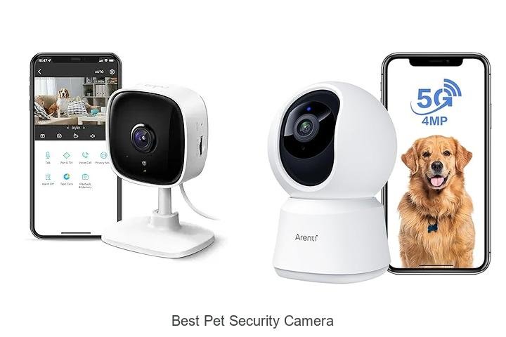 Top 15 Best Pet Security Camera That Will Blow Your Mind