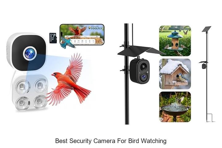 Top 13 Best Security Camera for Bird Watching Revealed!