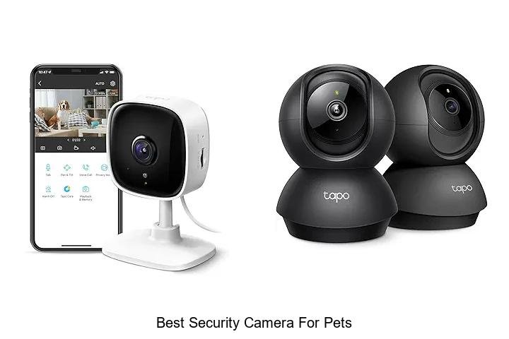 Top 13 Best Security Camera For Pets That Will Blow Your Mind