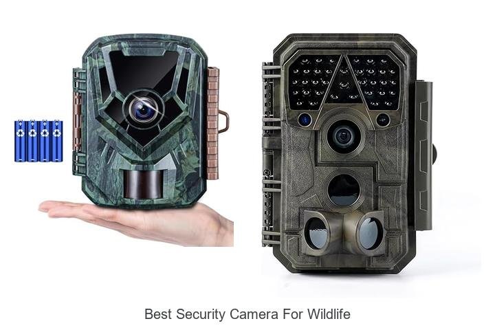 Top 13 Best Security Camera For Wildlife You Can’t Miss