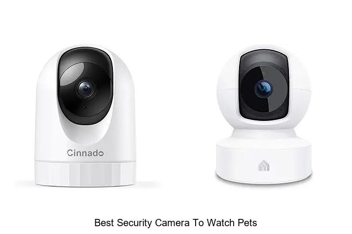 Top 13 Best Security Camera To Watch Pets You Need Now