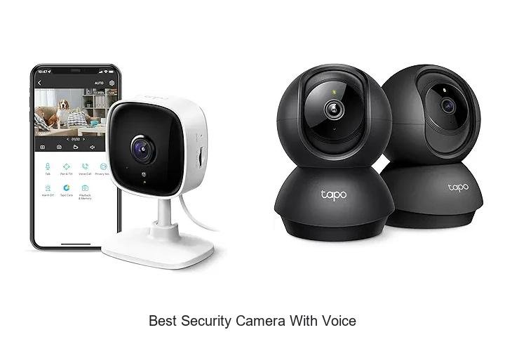 Top 13 Best Security Camera With Voice That Shock You