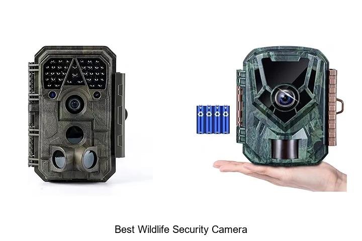 Top 13 Best Wildlife Security Camera That Will Blow Your Mind